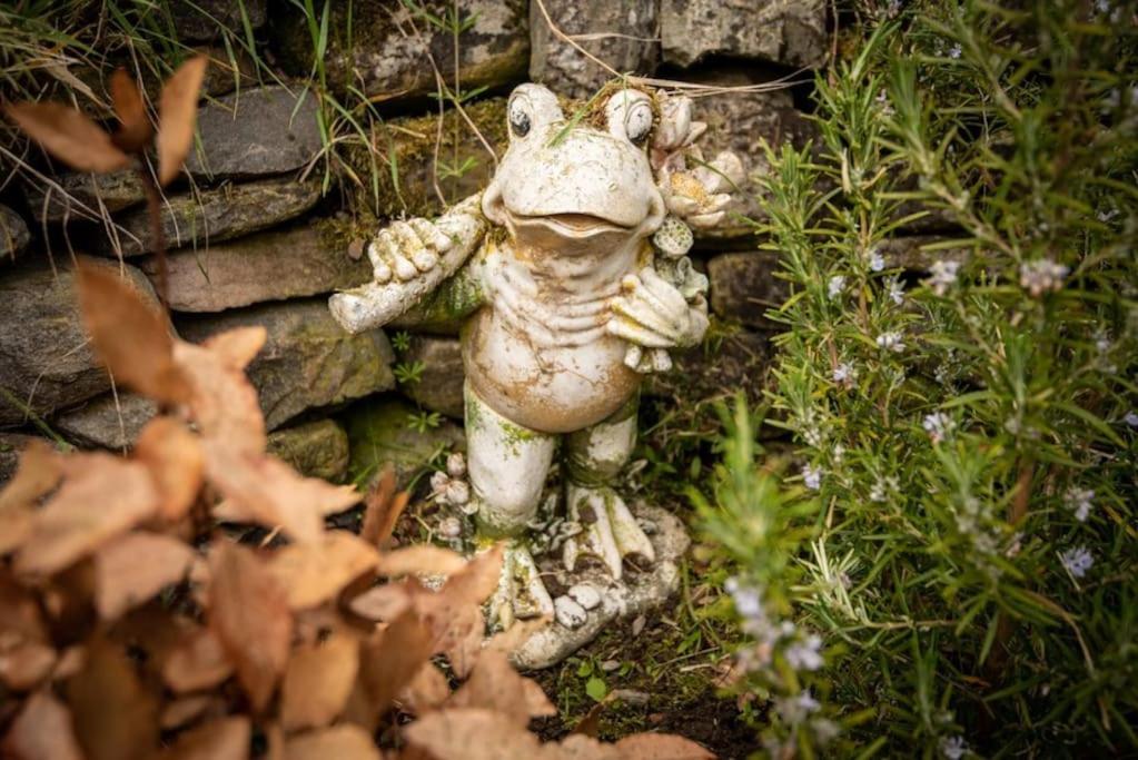 Ardullie Foulis Cottage, Foulis Estate, Highland Scotland מראה חיצוני תמונה